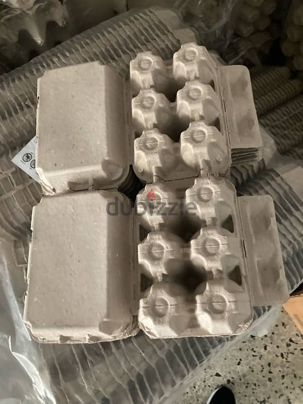 Eggs Carton for 12 and 6 eggs 1