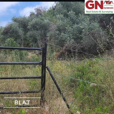 Land For Sale In Blat  ارض للبيع في بلاط