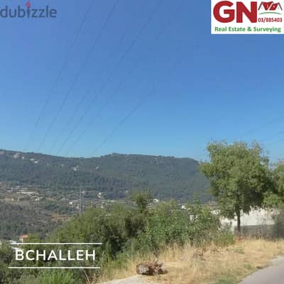 Land For Sale In Bchelli ارض للبيع في بشلي