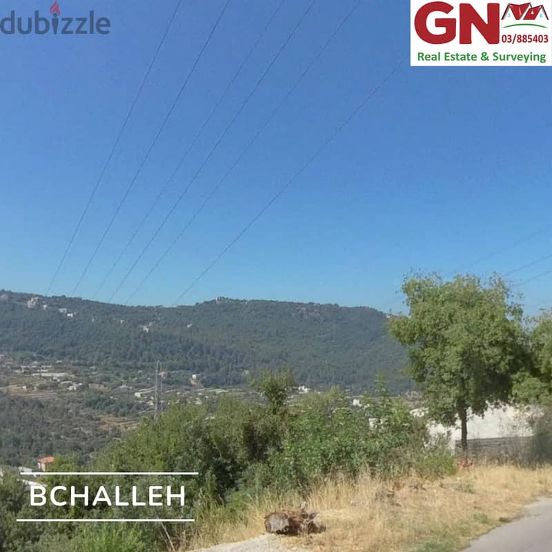 Land For Sale In Bchelli ارض للبيع في بشلي 0