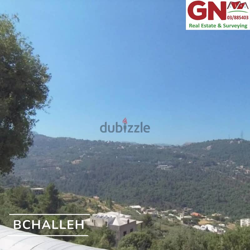 Land For Sale In Bchelli ارض للبيع في بشلي 1