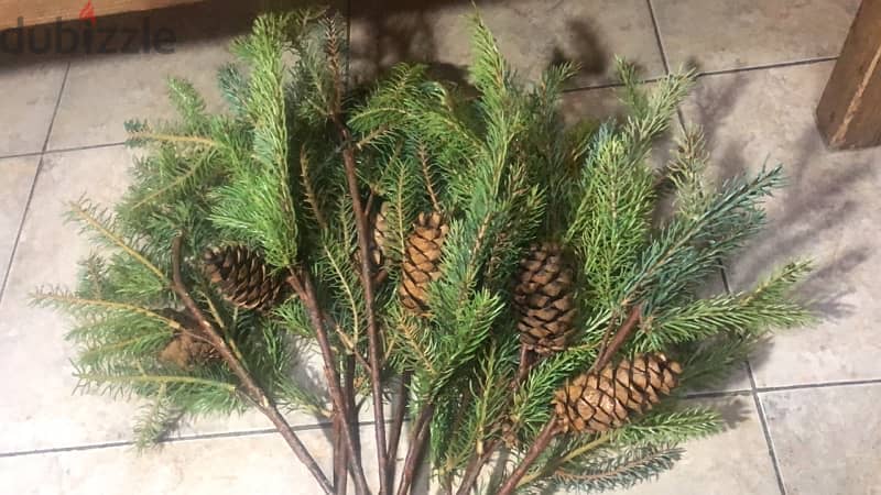 Christmas greenery 20 branches for 100$ price can fix a biti 0