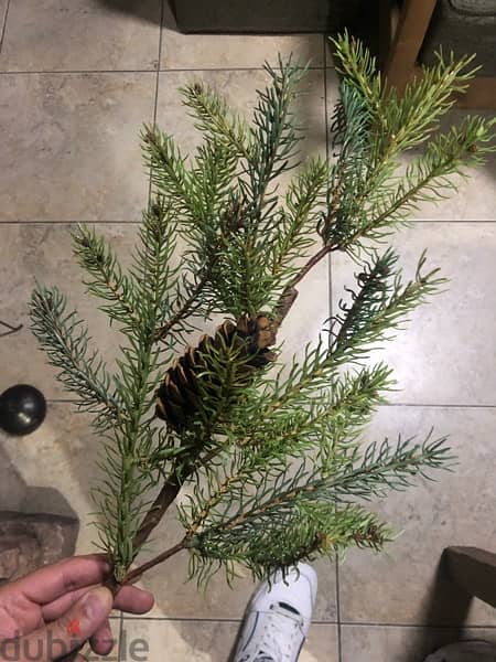 Christmas greenery 20 branches for 100$ price can fix a biti 1