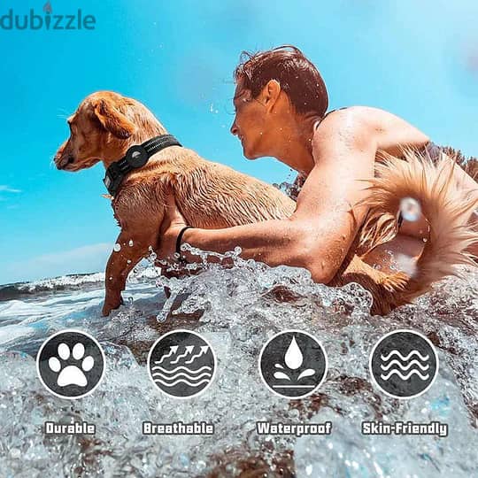 Elevate your pet's safety and your peace of mind with our Collar Dog 3