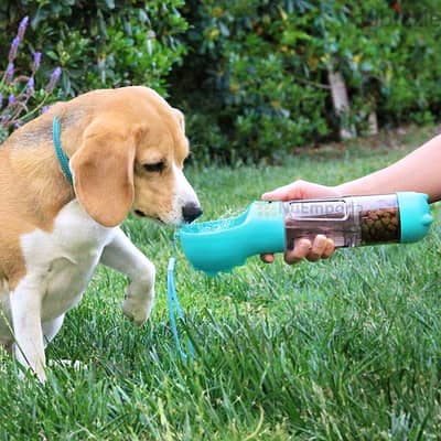 Portable 4-in-1 Pet Feeder Bottle