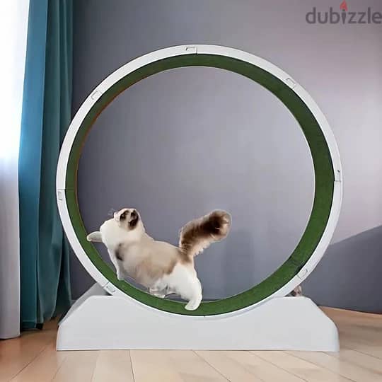 Silent Treadmill Running Wheel for Cats and Small Dogs 3