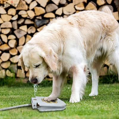 Outdoor automatic step on drinking fountain for dogs