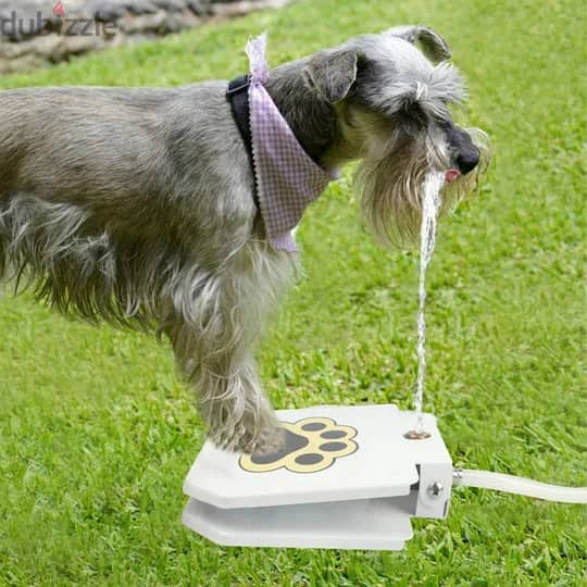 Outdoor automatic step on drinking fountain for dogs 2