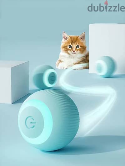 Smart Cat Ball