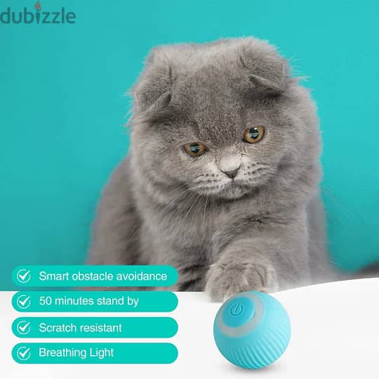 Smart Cat Ball 2