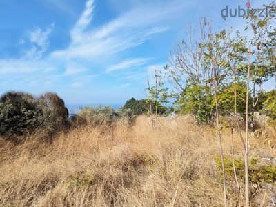 Land For Sale In Blat | أرض للبيع في بلاط | PLS 26191