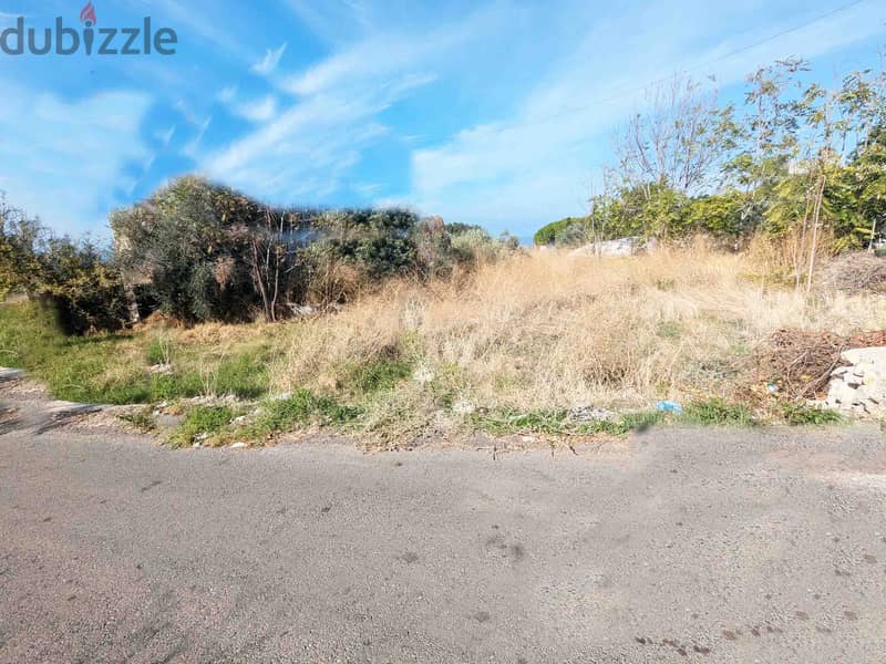 Land For Sale In Blat | أرض للبيع في بلاط | PLS 26191 2