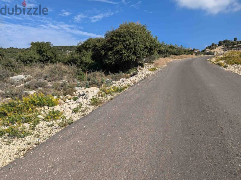 Land For Sale In Gharzouz | Residential Land | أرض للبيع | PLS 26193 12