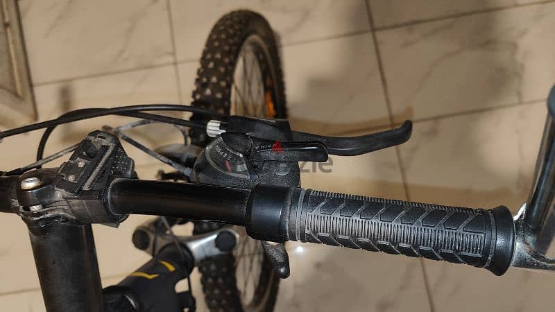 Badger mountain bicycle with Car Mount 3