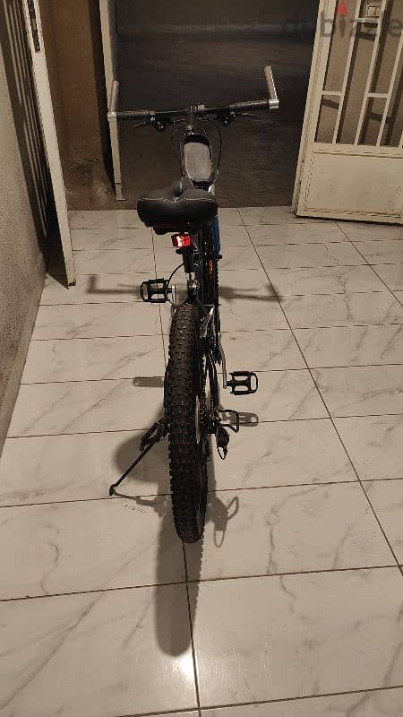 Badger mountain bicycle with Car Mount 7