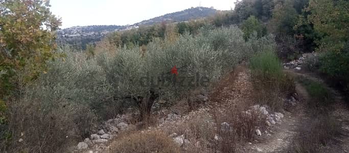 RWB135PK - Land for sale in Mechmech Jbeil