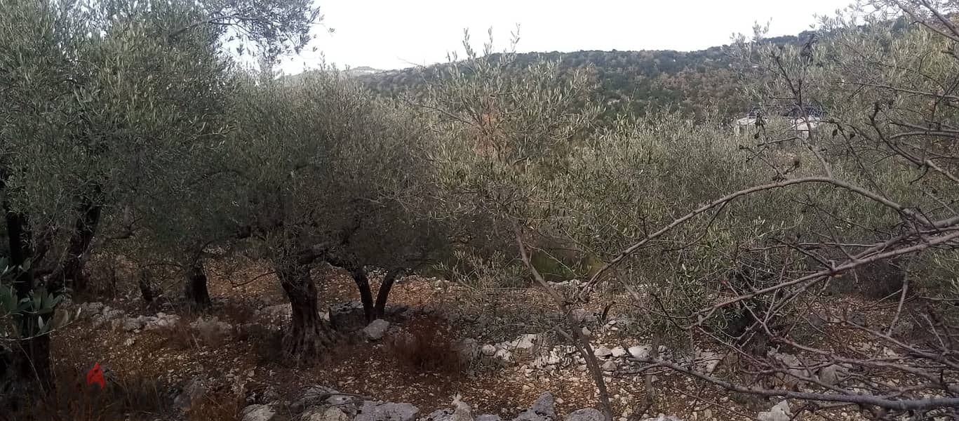 RWB135PK - Land for sale in Mechmech Jbeil 1