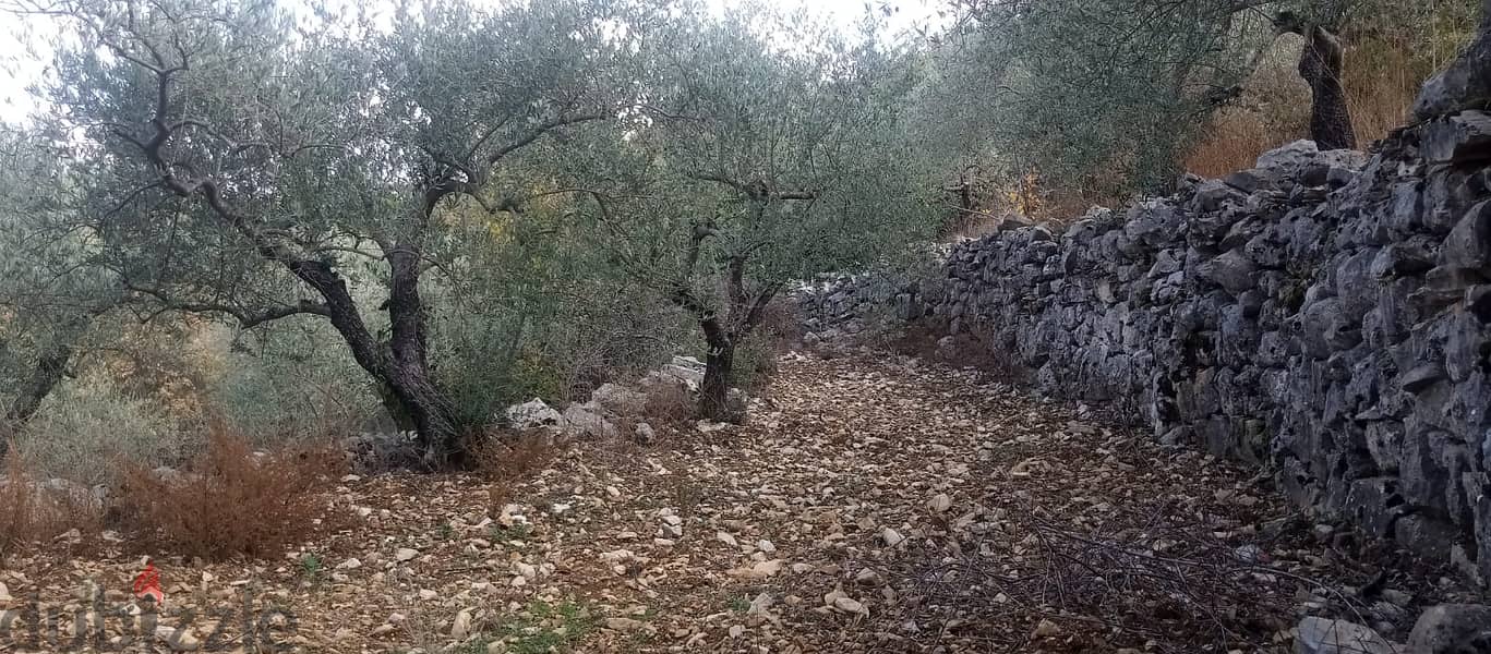 RWB135PK - Land for sale in Mechmech Jbeil 2