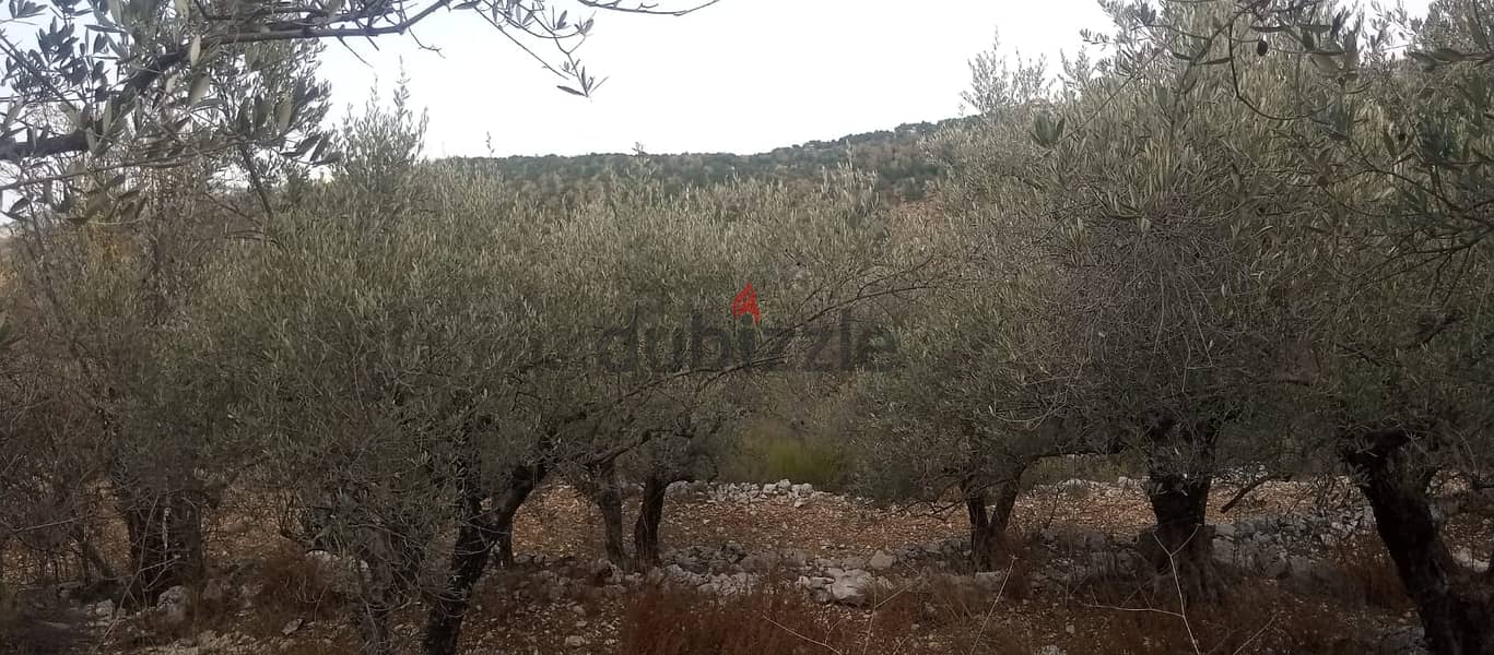 RWB135PK - Land for sale in Mechmech Jbeil 4