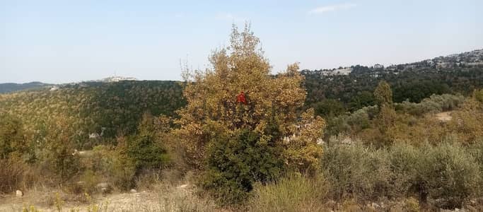 RWB136PK - Land for sale in Mechmech Jbeil