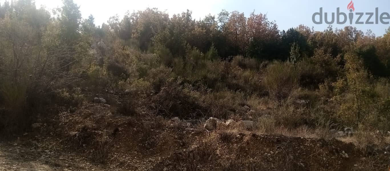 RWB136PK - Land for sale in Mechmech Jbeil 2