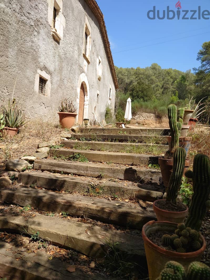 Spain farmhouse with 12 hectare land & forest need renovation PR-00247 6