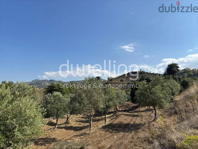 Land with Mature Olive Grove & Stunning Views in Heart of Akkar 2