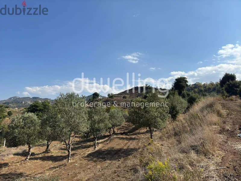 Land with Mature Olive Grove & Stunning Views in Heart of Akkar 3