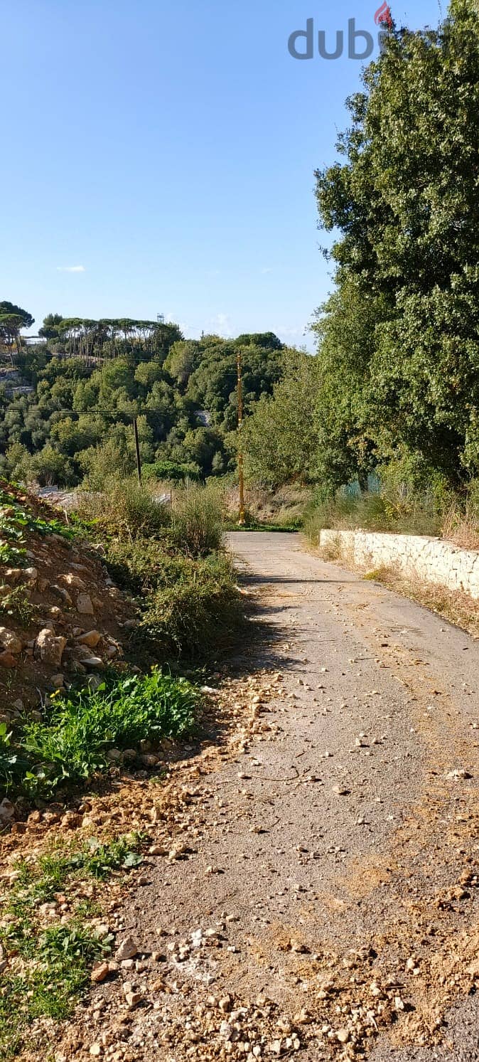 Land for sale in Abdelli batroun أرض للبيع في العبدلي البترون 7