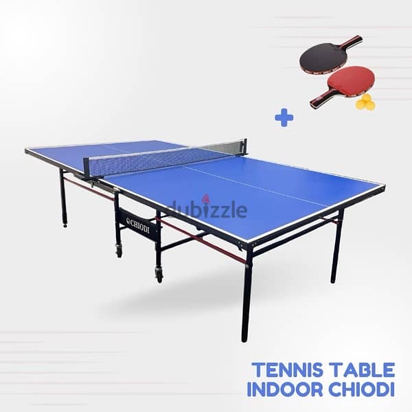 Ping Pong Table tennis Chiodi 0