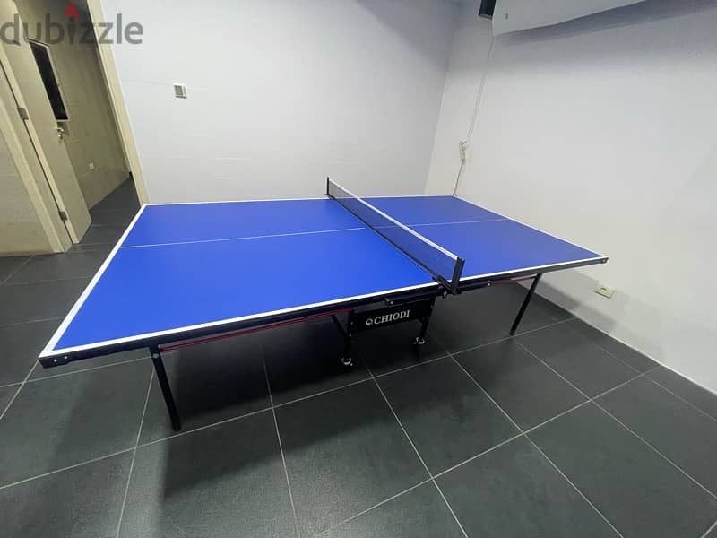 Ping Pong Table tennis Chiodi 1