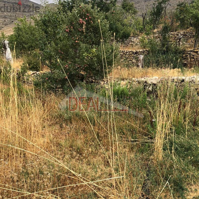 Land for sale in Faraya عقار للبيع في فا ريا 2