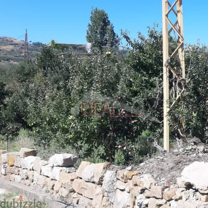 Land for sale in Faraya عقار للبيع في فاريا 1