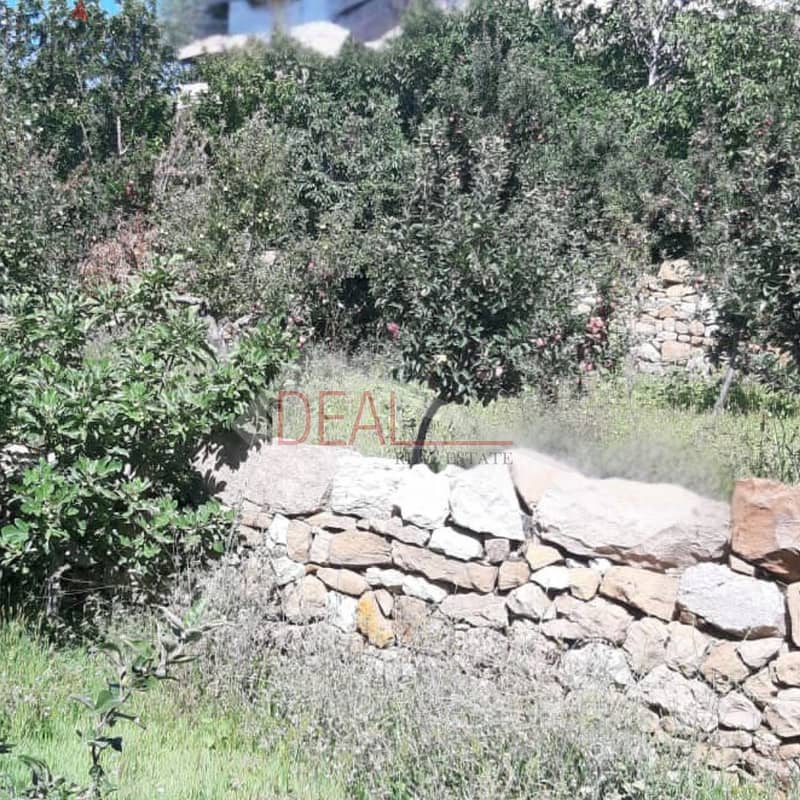 Land for sale in Faraya عقار للبيع في فاريا 2