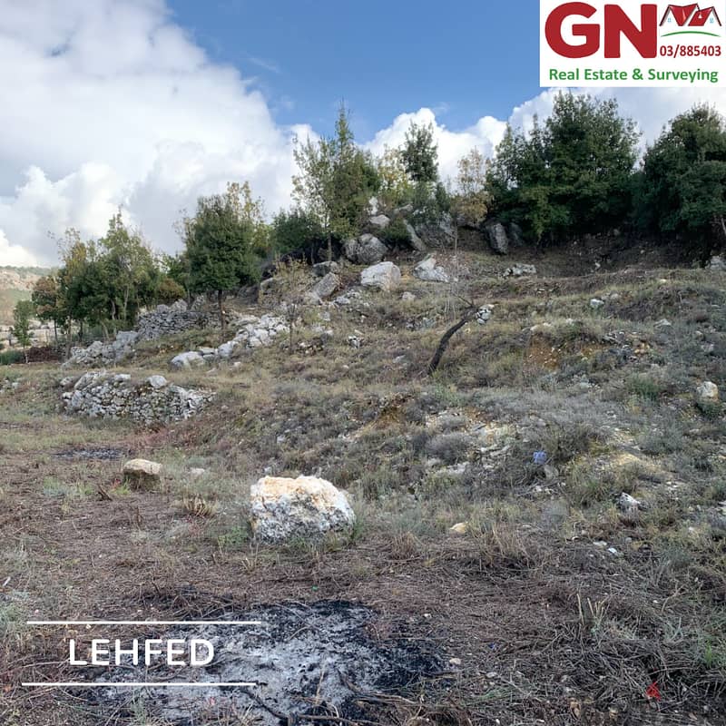 Land For Sale In Lehfed ارض للبيع في لحفد 2