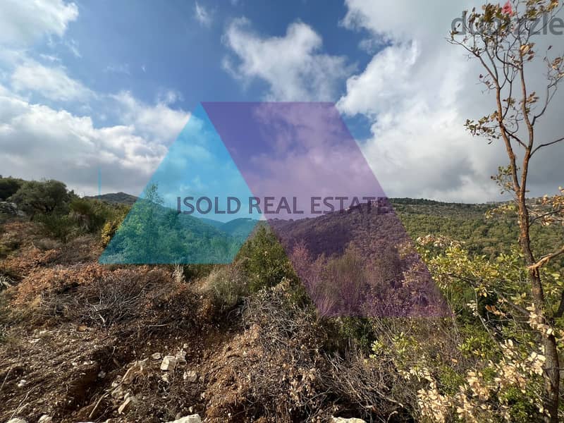 A 1152m2 land having an open mountain view for sale in Mechmech|Jbeil 3