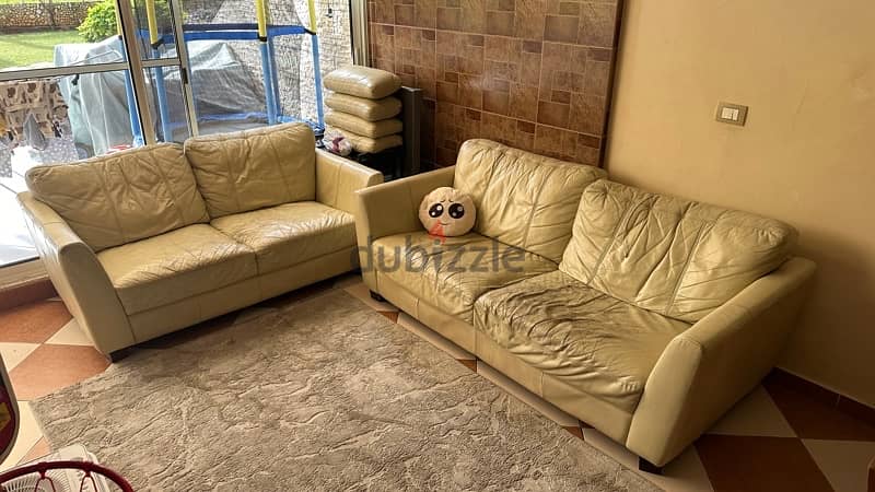 High quality structure and feather sofas for sale 0