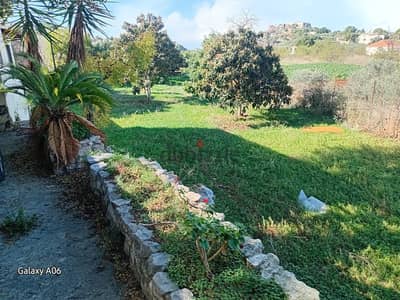 Land for sale in Batroun ارض للبيع في بترون