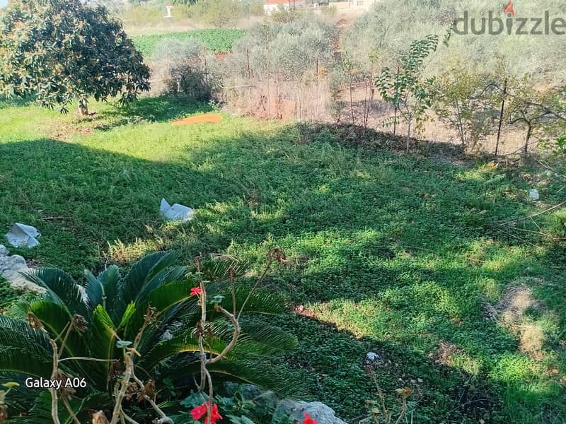 Land for sale in Batroun ارض للبيع في بترون 1