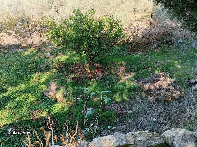 Land for sale in Batroun ارض للبيع في بترون 2