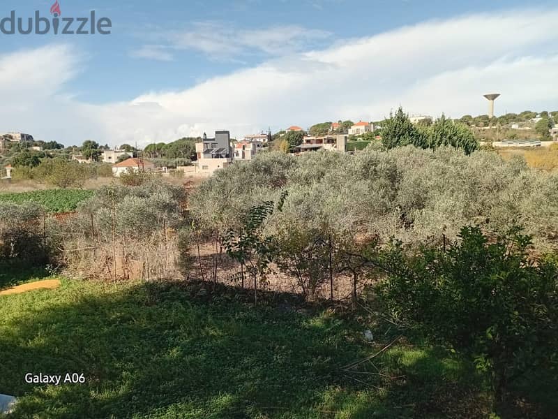 Land for sale in Batroun ارض للبيع في بترون 3