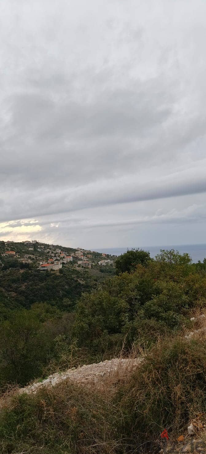 Land for sale in Thoum batroun أرض للبيع في تحوم البترون 2