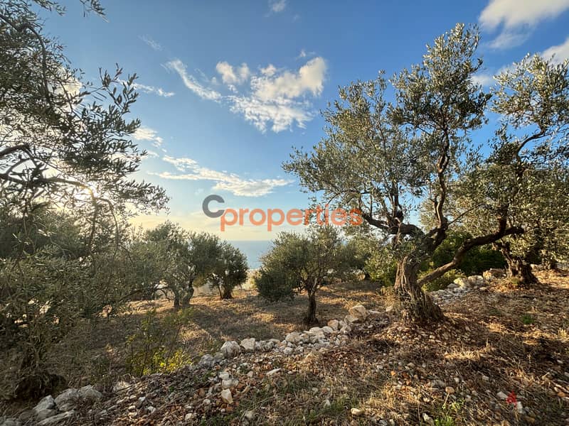 Land For Sale in Jeddayel ارض للبيع في جدايل CPJRK243 1