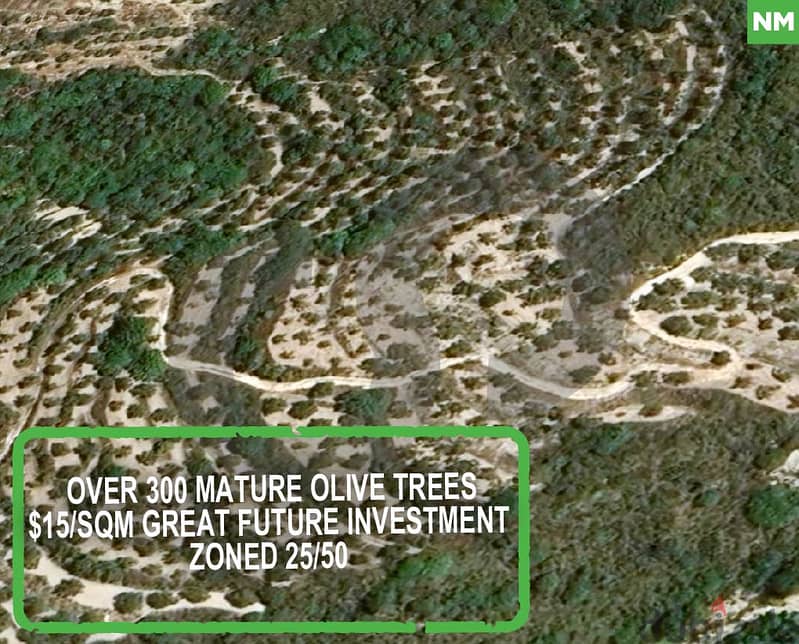 land with over 300 mature olive trees, views, koura/كورة REF#NM114849 0