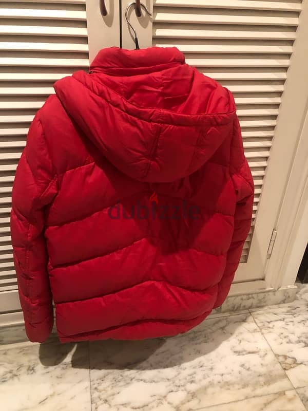 Winter Tommy Hilfiger Jacket 1