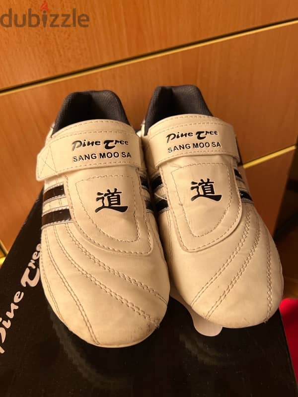 taekwondo shoes 0