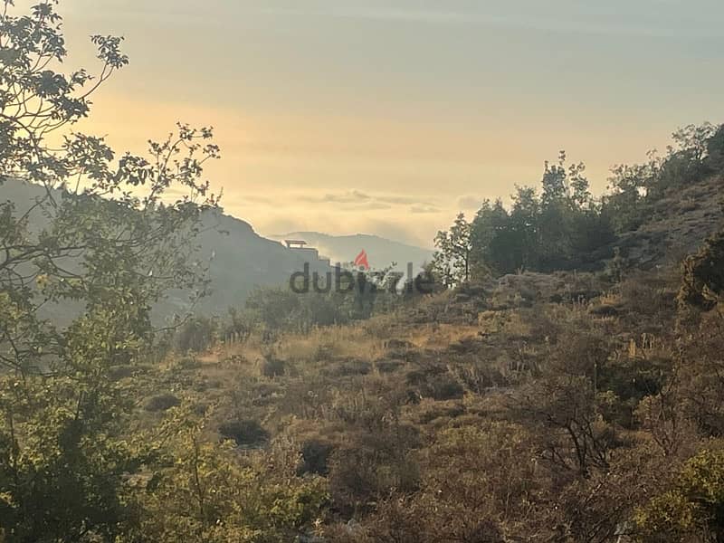 land for sale in lehfed jbeil اوض للبيع في لحفد جبيل 1