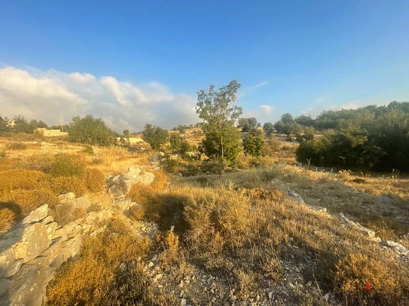 land for sale in lehfed jbeil اوض للبيع في لحفد جبيل 2