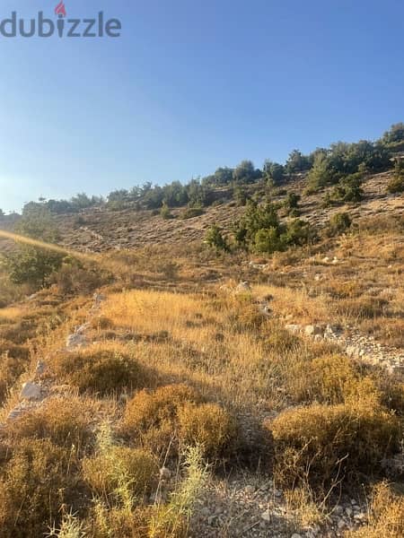 land for sale in lehfed jbeil اوض للبيع في لحفد جبيل 3