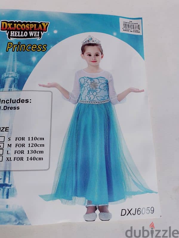 Frozen costume 1